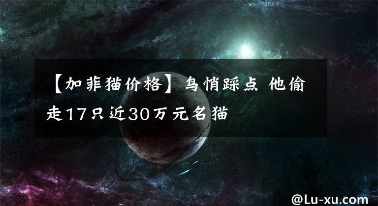 【加菲猫价格】鸟悄踩点 他偷走17只近30万元名猫