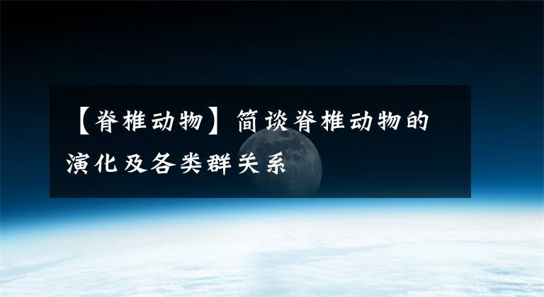 【脊椎动物】简谈脊椎动物的演化及各类群关系