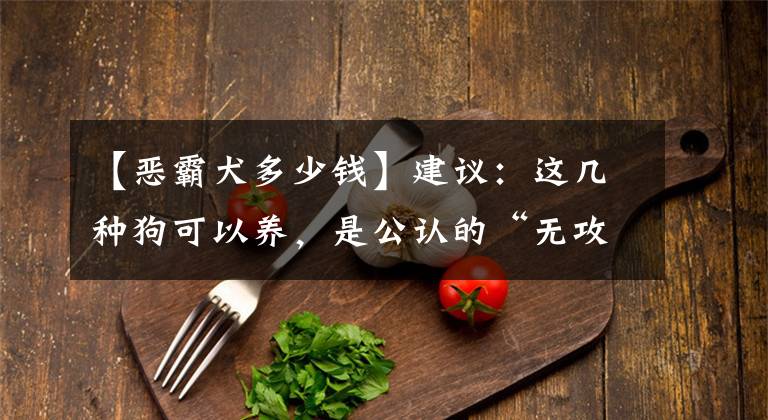 【恶霸犬多少钱】建议：这几种狗可以养，是公认的“无攻击性犬种”