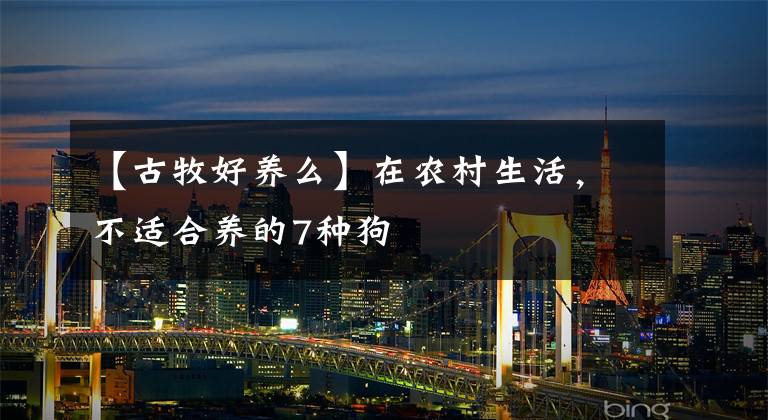【古牧好养么】在农村生活，不适合养的7种狗