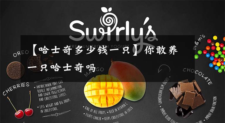 【哈士奇多少钱一只】你敢养一只哈士奇吗