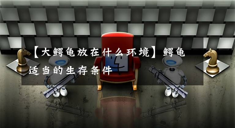 【大鳄龟放在什么环境】鳄龟适当的生存条件