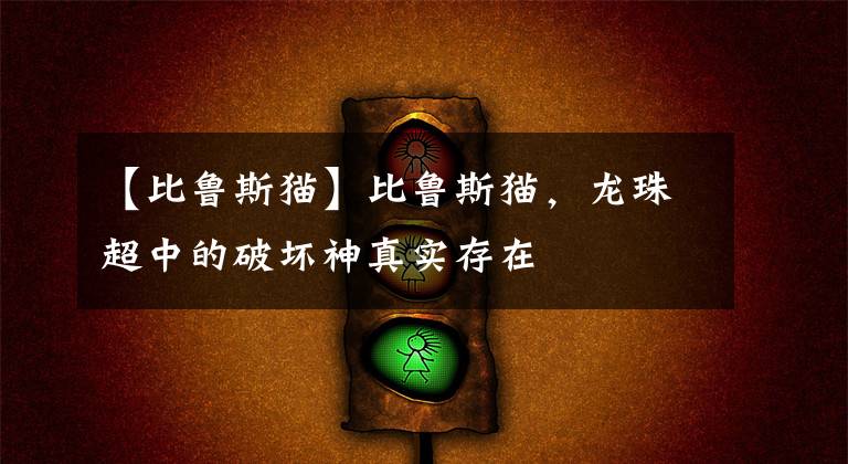【比鲁斯猫】比鲁斯猫，龙珠超中的破坏神真实存在
