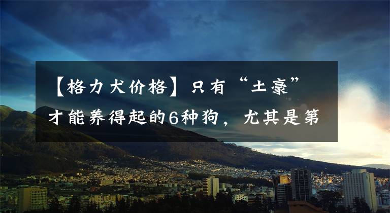 【格力犬价格】只有“土豪”才能养得起的6种狗，尤其是第六种，拆家能力太强