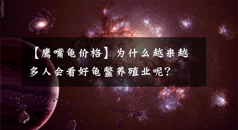 【鹰嘴龟价格】为什么越来越多人会看好龟鳖养殖业呢?