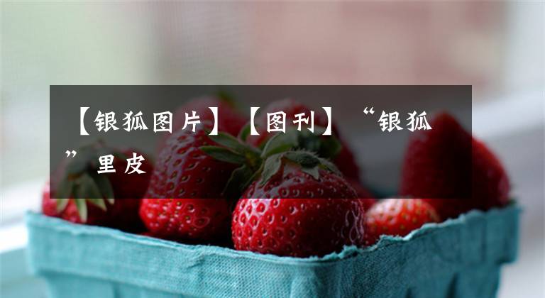 【银狐图片】【图刊】“银狐”里皮