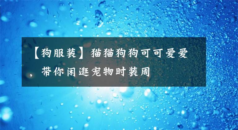 【狗服装】猫猫狗狗可可爱爱,带你闲逛宠物时装周