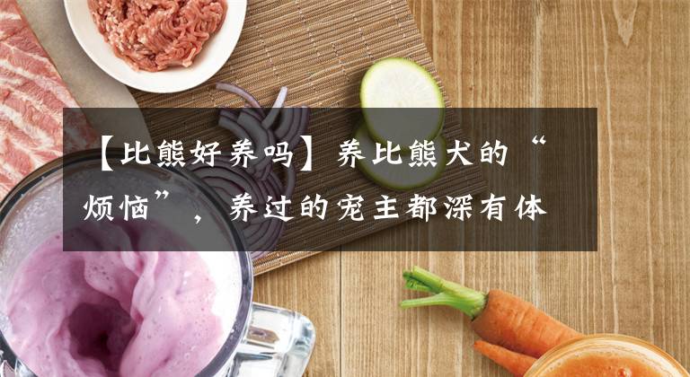 【比熊好养吗】养比熊犬的“烦恼”,养过的宠主都深有体会