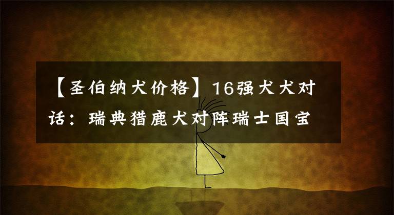 【圣伯纳犬价格】16强犬犬对话：瑞典猎鹿犬对阵瑞士国宝圣伯纳犬有胜算吗？