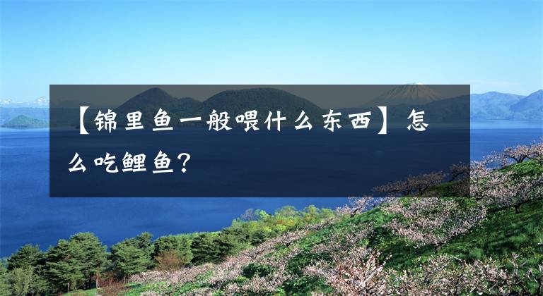 【锦里鱼一般喂什么东西】怎么吃鲤鱼？