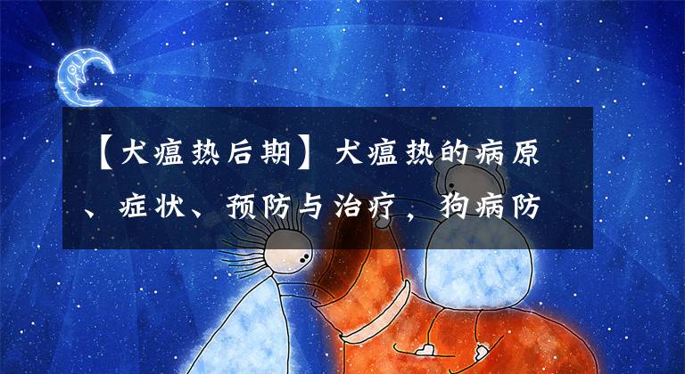 【犬瘟热后期】犬瘟热的病原、症状、预防与治疗,狗病防治