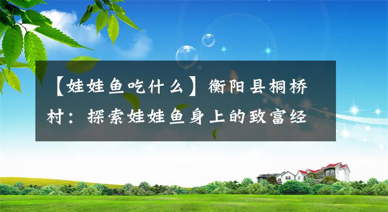 【娃娃鱼吃什么】衡阳县桐桥村：探索娃娃鱼身上的致富经 把高品质食材端上百姓餐桌