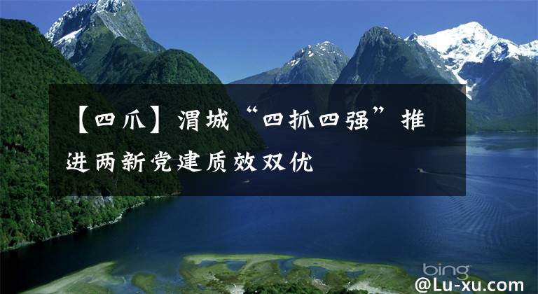 【四爪】渭城“四抓四强”推进两新党建质效双优