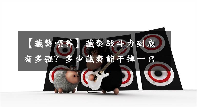 【藏獒喂养】藏獒战斗力到底有多强？多少藏獒能干掉一只老虎？网友：至少20只