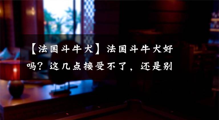 【法国斗牛犬】法国斗牛犬好吗？这几点接受不了，还是别养吧