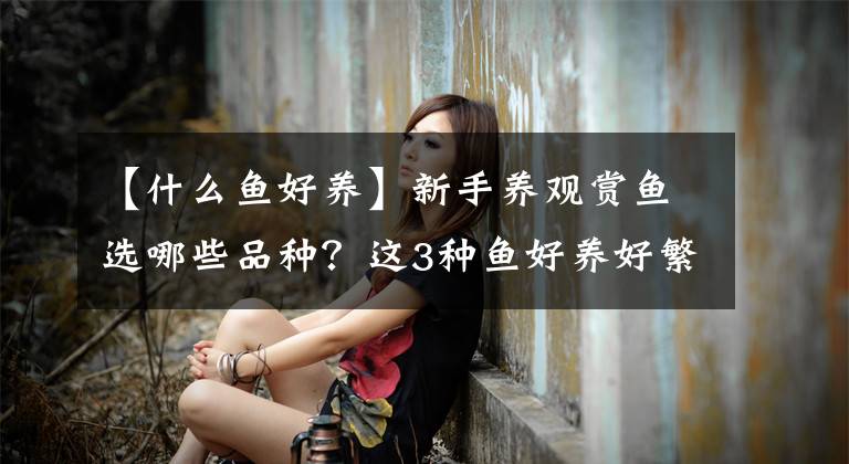 【什么鱼好养】新手养观赏鱼选哪些品种？这3种鱼好养好繁殖，体验养鱼乐趣首选