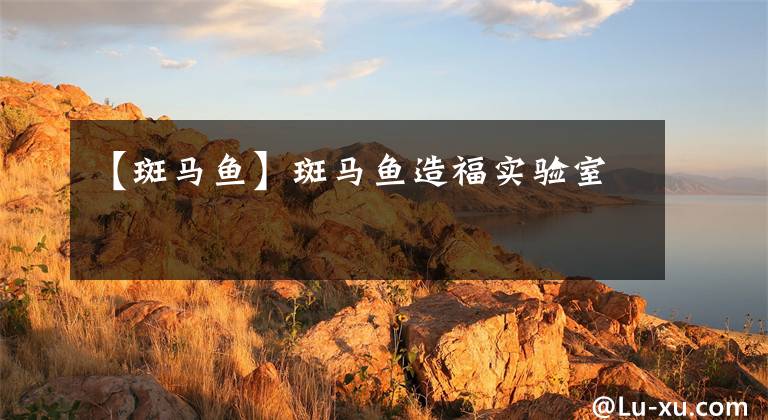 【斑马鱼】斑马鱼造福实验室