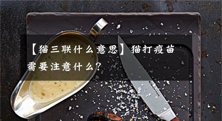 【猫三联什么意思】猫打疫苗需要注意什么？