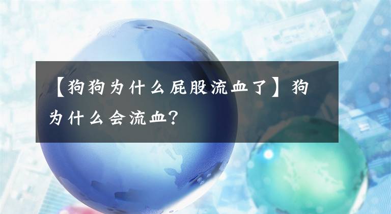 【狗狗为什么屁股流血了】狗为什么会流血？
