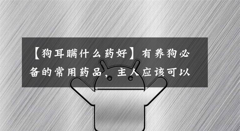 【狗耳瞒什么药好】有养狗必备的常用药品，主人应该可以放心地理解。