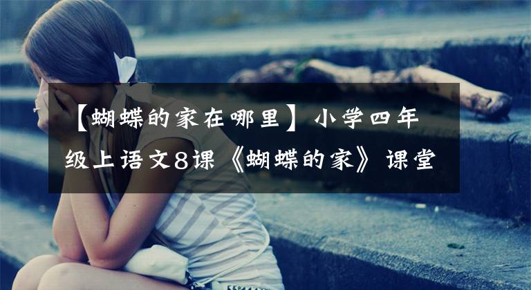 【蝴蝶的家在哪里】小学四年级上语文8课《蝴蝶的家》课堂笔记、教案及练习题