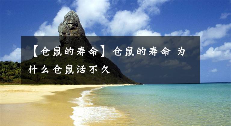 【仓鼠的寿命】仓鼠的寿命 为什么仓鼠活不久