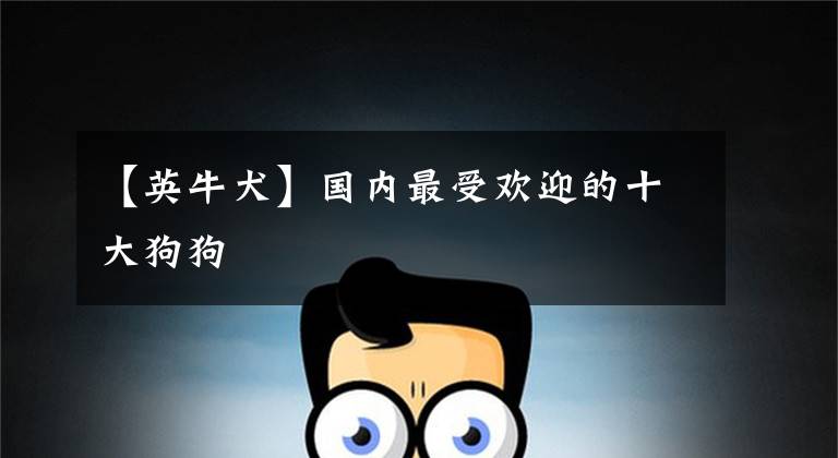 【英牛犬】国内最受欢迎的十大狗狗