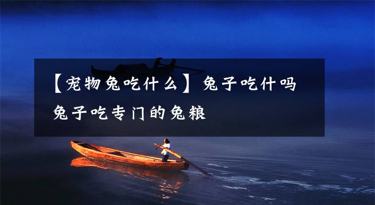 【宠物兔吃什么】兔子吃什吗 兔子吃专门的兔粮