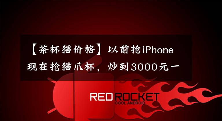 【茶杯猫价格】以前抢iPhone现在抢猫爪杯，炒到3000元一个，网友表示自己做