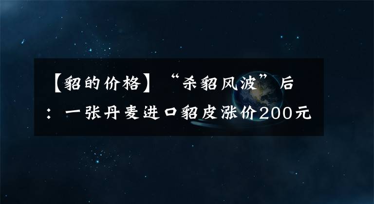 【貂的价格】“杀貂风波”后:一张丹麦进口貂皮涨价200元,一件大衣成本增千元