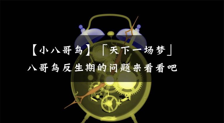 【小八哥鸟】「天下一场梦」八哥鸟反生期的问题来看看吧
