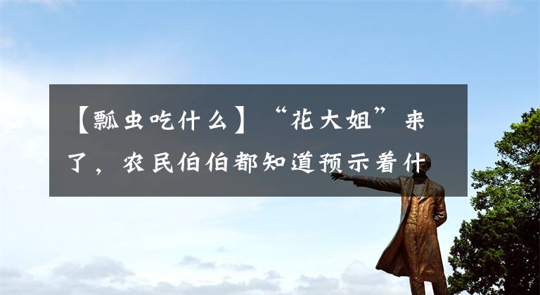 【瓢虫吃什么】“花大姐”来了,农民伯伯都知道预示着什么,城里人很少知道