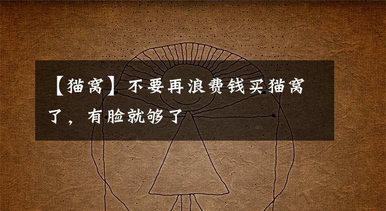 【猫窝】不要再浪费钱买猫窝了，有脸就够了