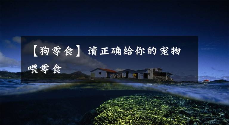 【狗零食】请正确给你的宠物喂零食