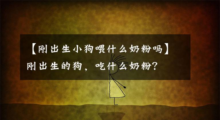【刚出生小狗喂什么奶粉吗】刚出生的狗，吃什么奶粉？