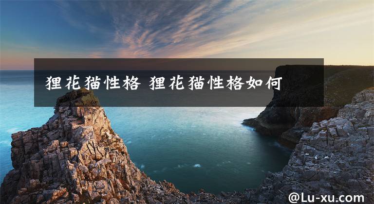 狸花猫性格 狸花猫性格如何