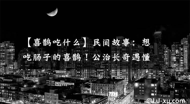 【喜鹊吃什么】民间故事:想吃肠子的喜鹊!公治长奇遇懂白鸟音!