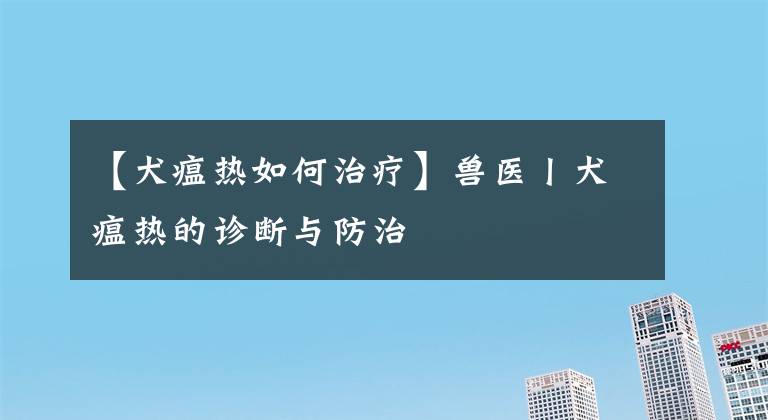 【犬瘟热如何治疗】兽医丨犬瘟热的诊断与防治