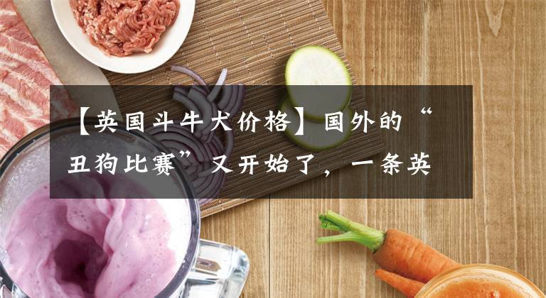 【英国斗牛犬价格】国外的“丑狗比赛”又开始了，一条英国斗牛犬摘得了“殊荣”