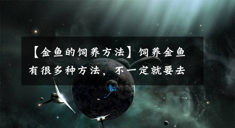 【金鱼的饲养方法】饲养金鱼有很多种方法，不一定就要去学纯粹的古法养鱼！