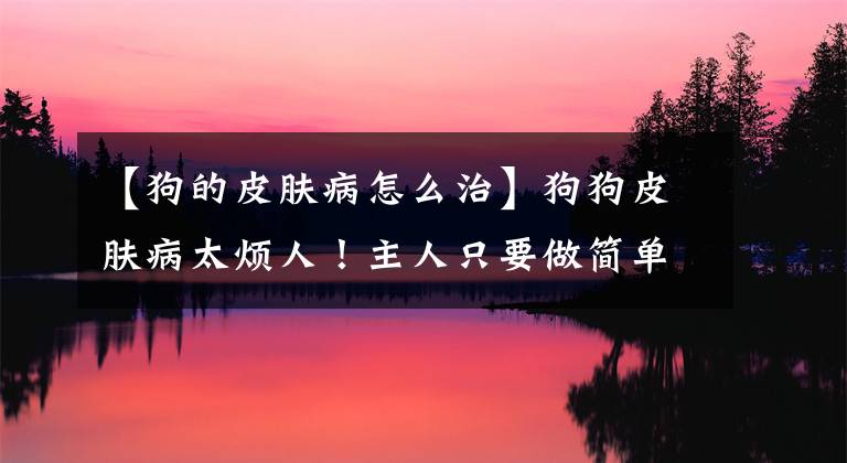 【狗的皮肤病怎么治】狗狗皮肤病太烦人！主人只要做简单5点，狗狗毛发皮肤都健康