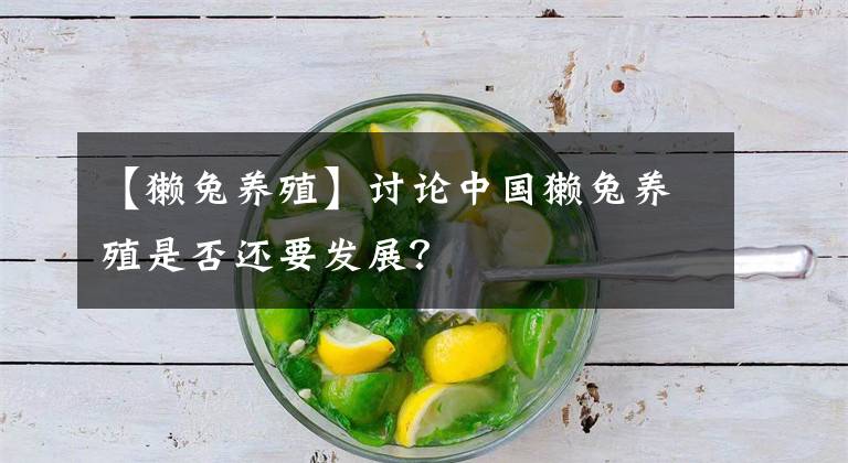 【獭兔养殖】讨论中国獭兔养殖是否还要发展？