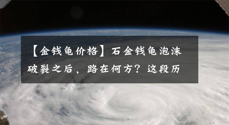 【金钱龟价格】石金钱龟泡沫破裂之后，路在何方？这段历史或许可以给你启发