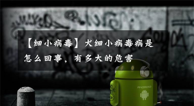【细小病毒】犬细小病毒病是怎么回事,有多大的危害