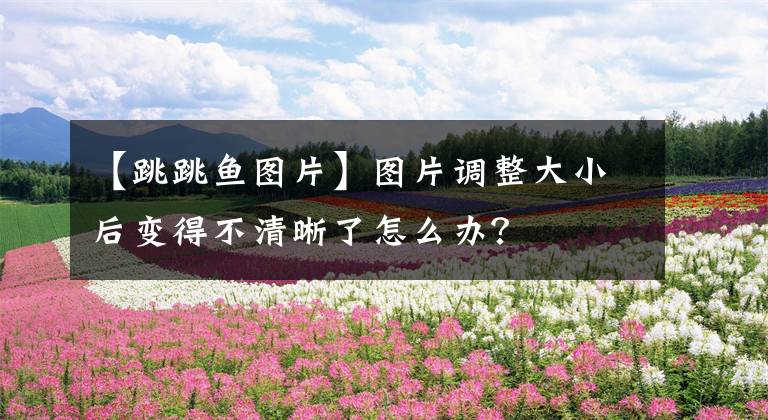 【跳跳鱼图片】图片调整大小后变得不清晰了怎么办?