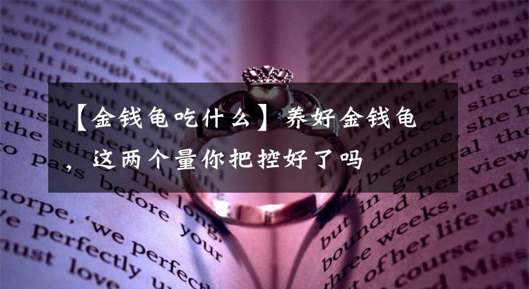 【金钱龟吃什么】养好金钱龟，这两个量你把控好了吗