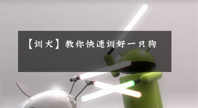 【训犬】教你快速训好一只狗