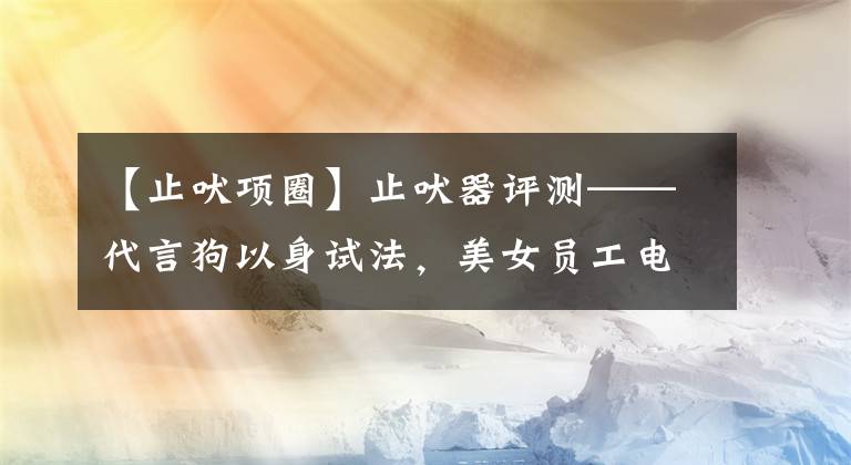 【止吠项圈】止吠器评测——代言狗以身试法，美女员工电击自虐