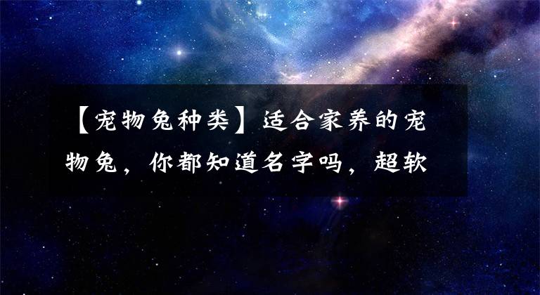 【宠物兔种类】适合家养的宠物兔，你都知道名字吗，超软萌的垂耳兔你爱了吗