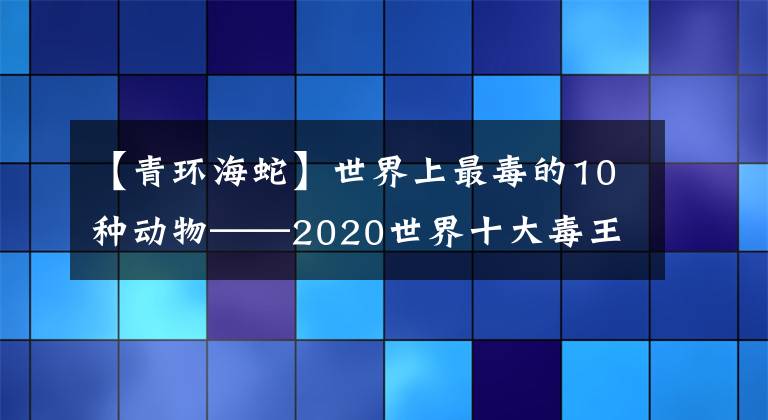 【青环海蛇】世界上最毒的10种动物——2020世界十大毒王